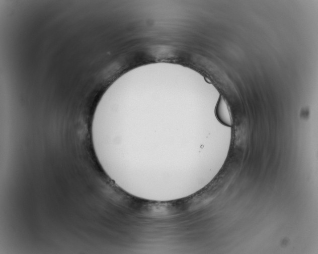 X0000102850618200809151129