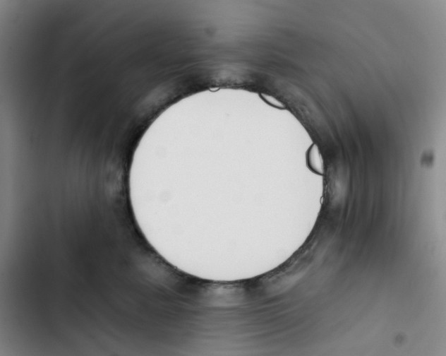 X0000102850619200809151129