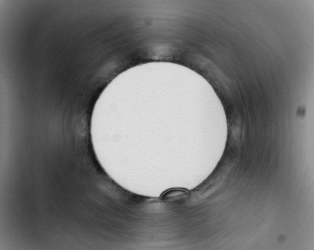 X0000102850620200809151129