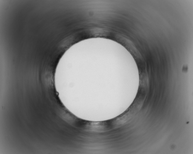 X0000102850622200809151129