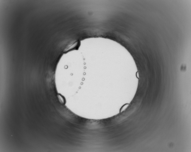 X0000102850624200809151129