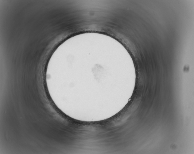 X0000102850625200809151128