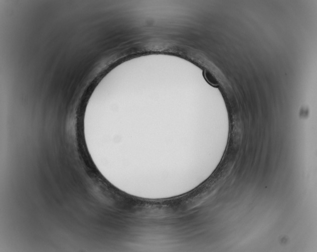 X0000102850626200809151128