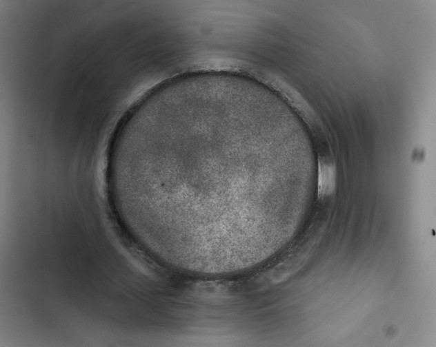 X0000102850627200809151128