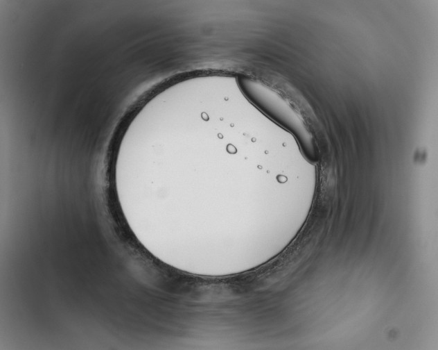 X0000102850628200809151128