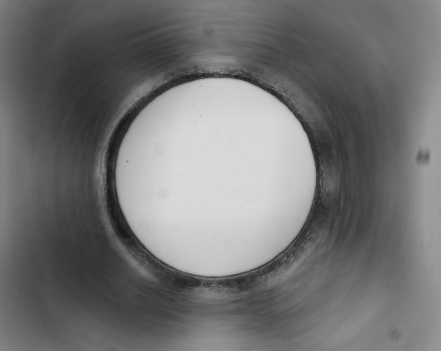 X0000102850630200809151128