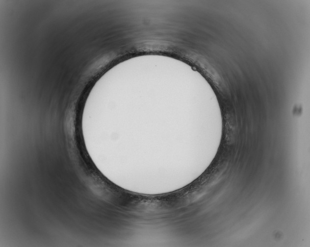 X0000102850631200809151128