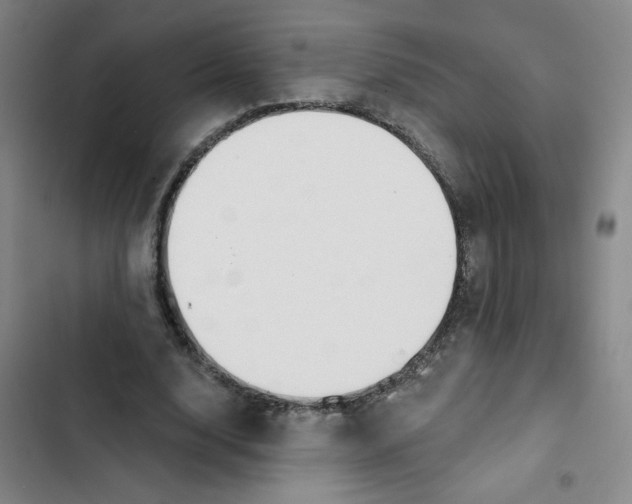 X0000102850632200809151128