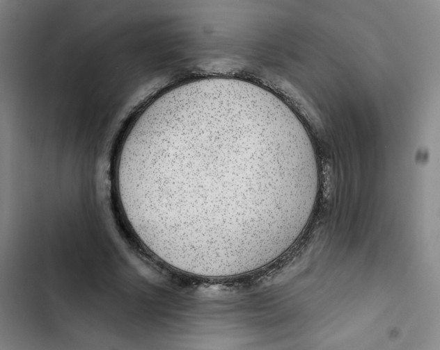 X0000102850634200809151128