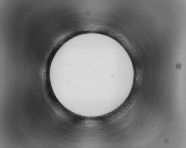 X0000102850636200809151128