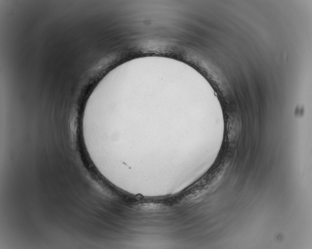 X0000102850637200809151128