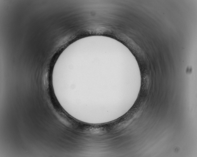 X0000102850638200809151128