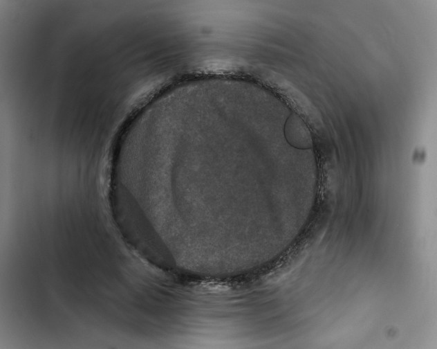 X0000102850640200809151128