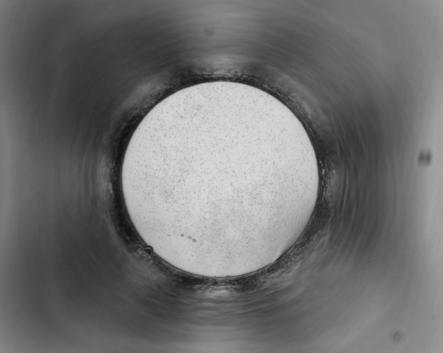 X0000102850643200809151128