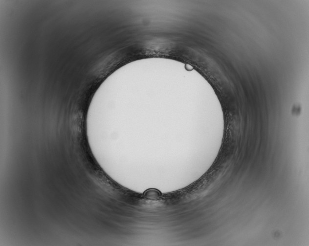 X0000102850649200809151128