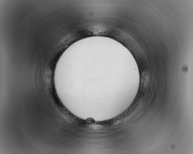 X0000102850650200809151128