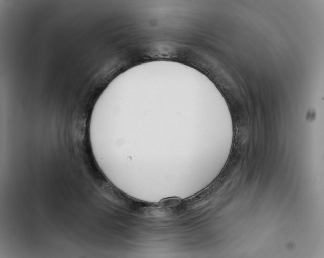 X0000102850652200809151128