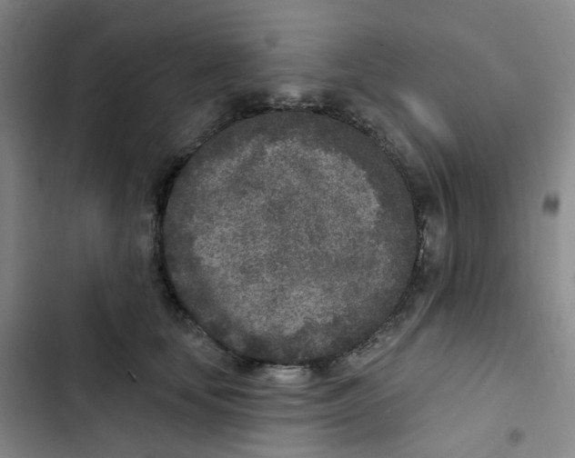 X0000102850659200809151129