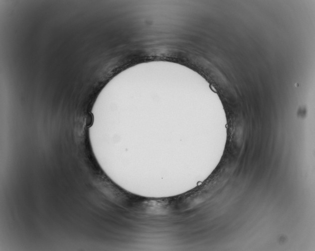 X0000102850660200809151129