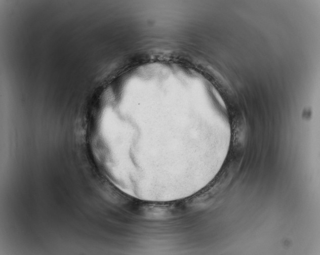 X0000102850661200809151129