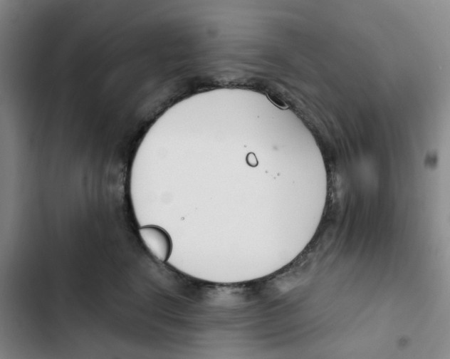 X0000102850664200809151129