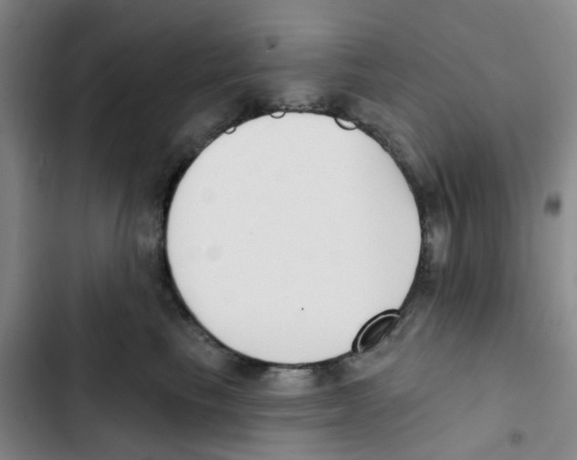 X0000102850665200809151129