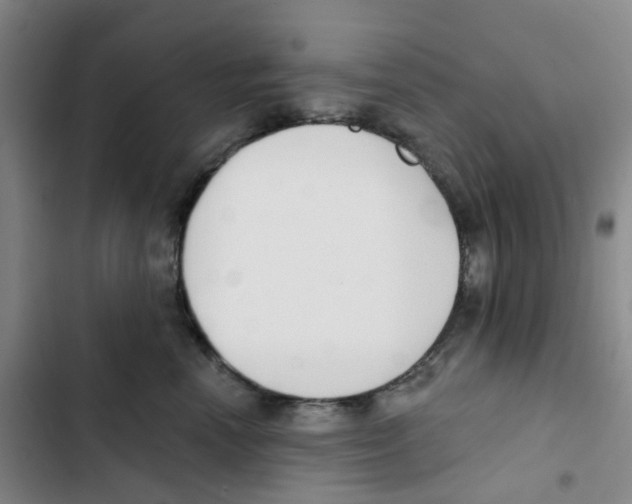 X0000102850666200809151129