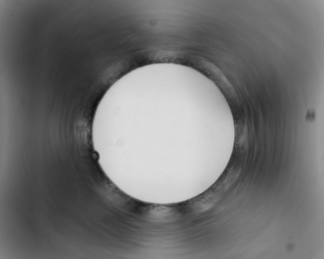 X0000102850669200809151129