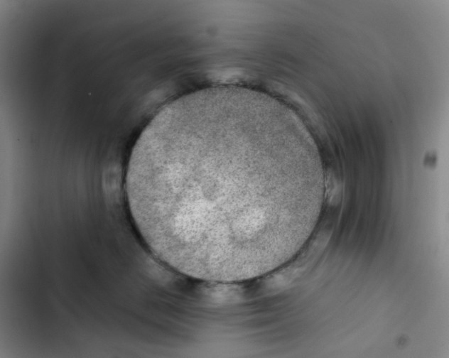 X0000102850670200809151129