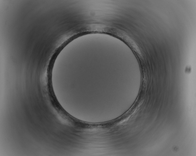 X0000102850674200809151128