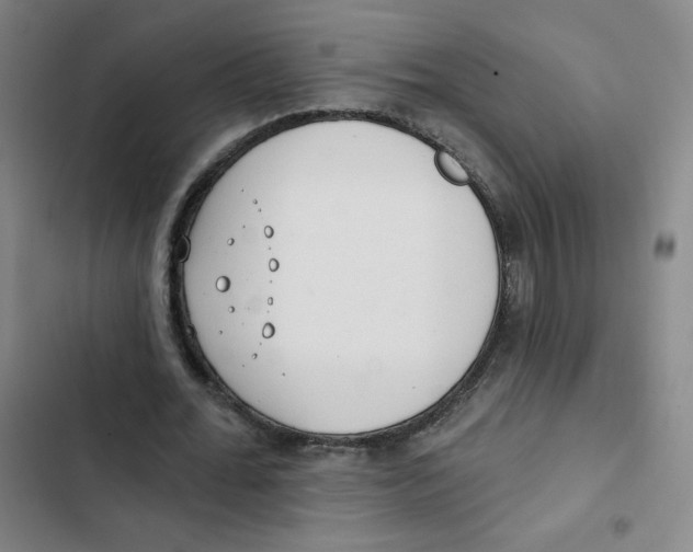 X0000102850676200809151128