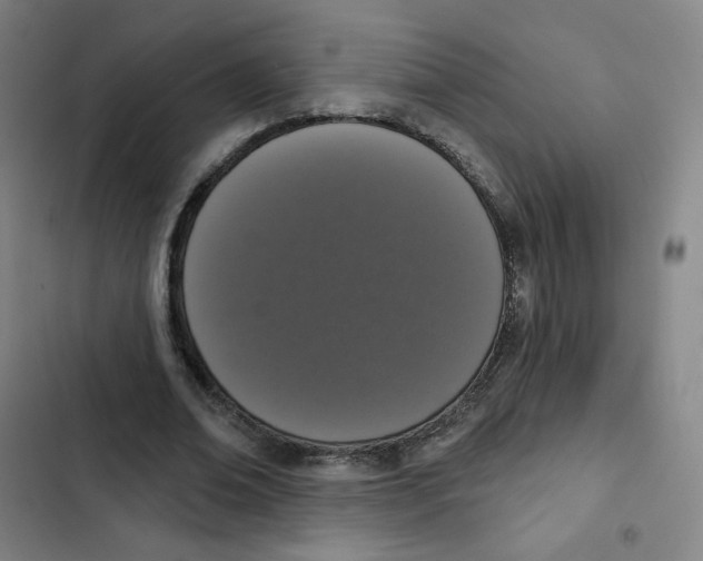 X0000102850678200809151128