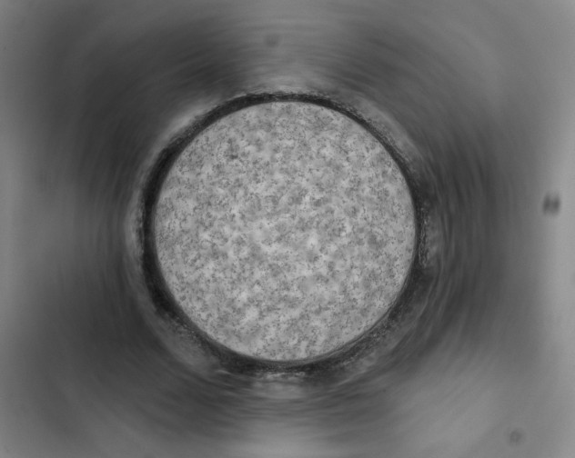 X0000102850680200809151128