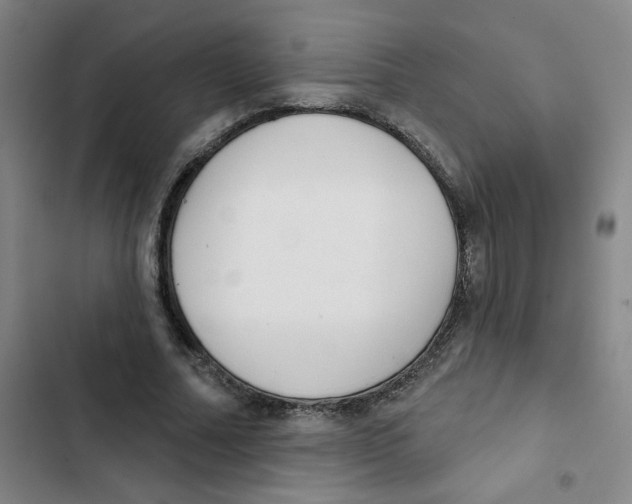 X0000102850682200809151128