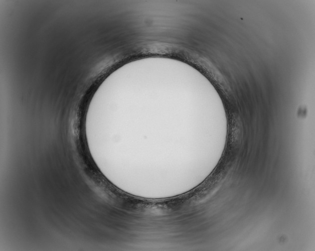 X0000102850683200809151128