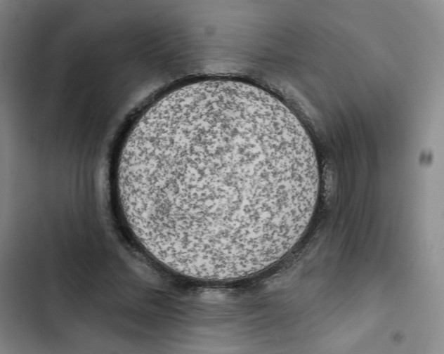 X0000102850684200809151128