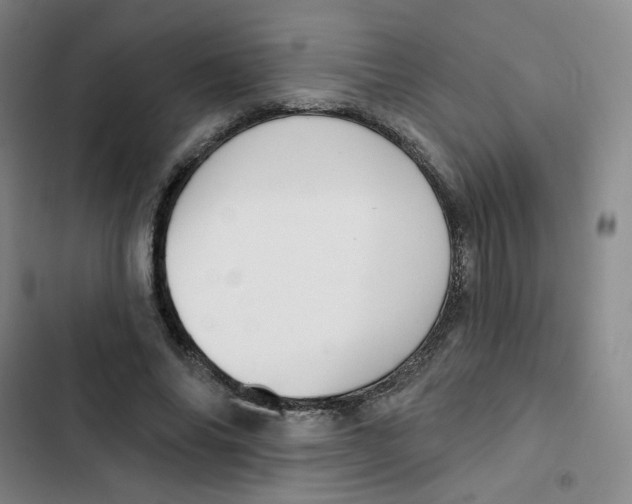 X0000102850686200809151128