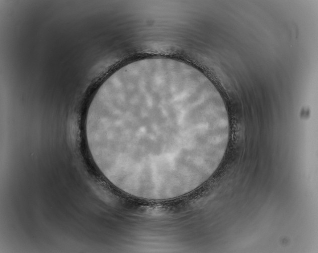 X0000102850688200809151128