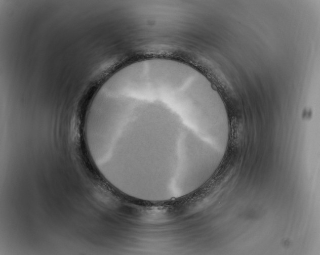 X0000102850692200809151128