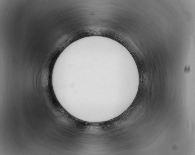 X0000102850694200809151128