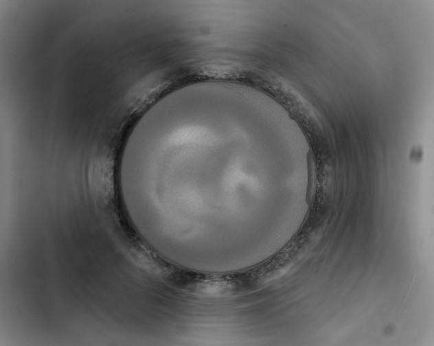 X0000102850696200809151128