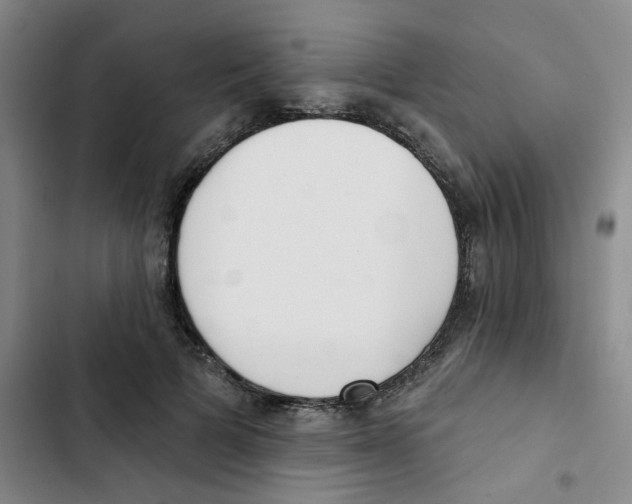 X0000102850697200809151128