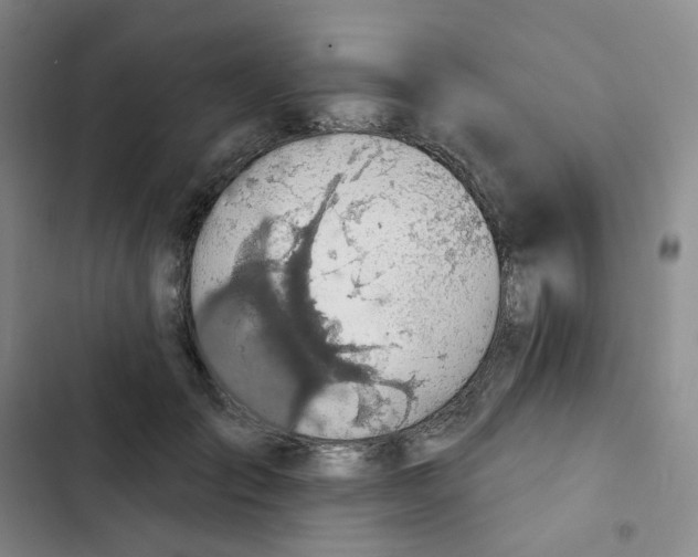 X0000102850701200809151128