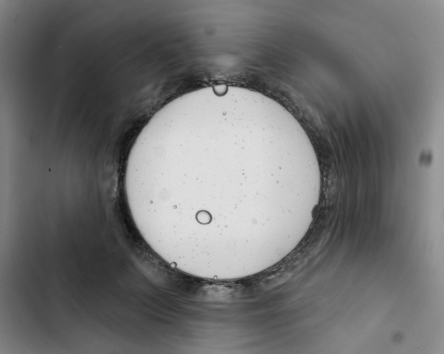 X0000102850703200809151128