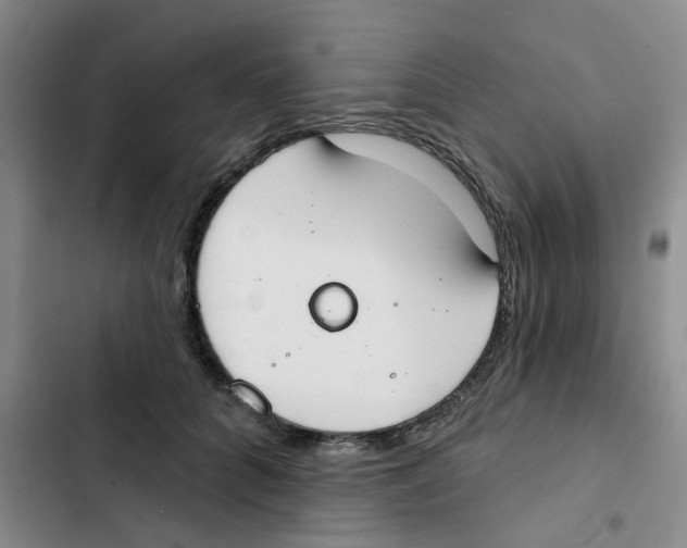 X0000102850704200809151127