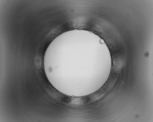 X0000102850705200809151127