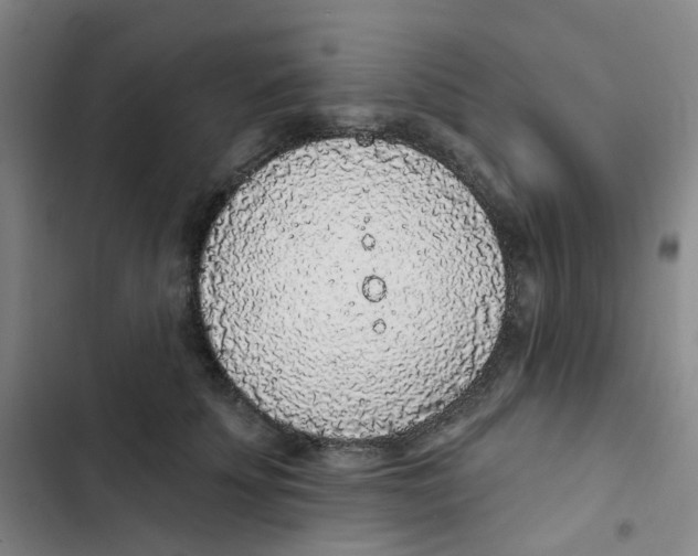 X0000102850707200809151127