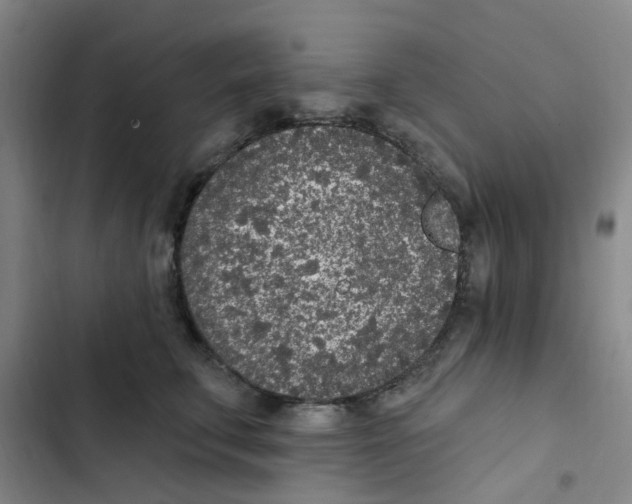 X0000102850711200809151127