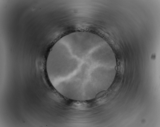 X0000102850712200809151127