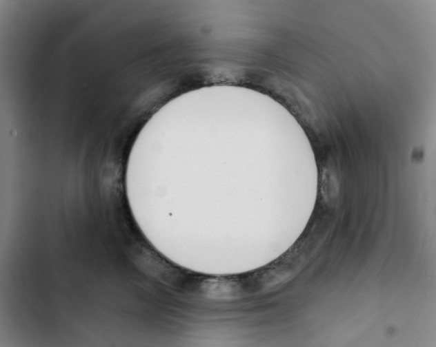 X0000102850714200809151127